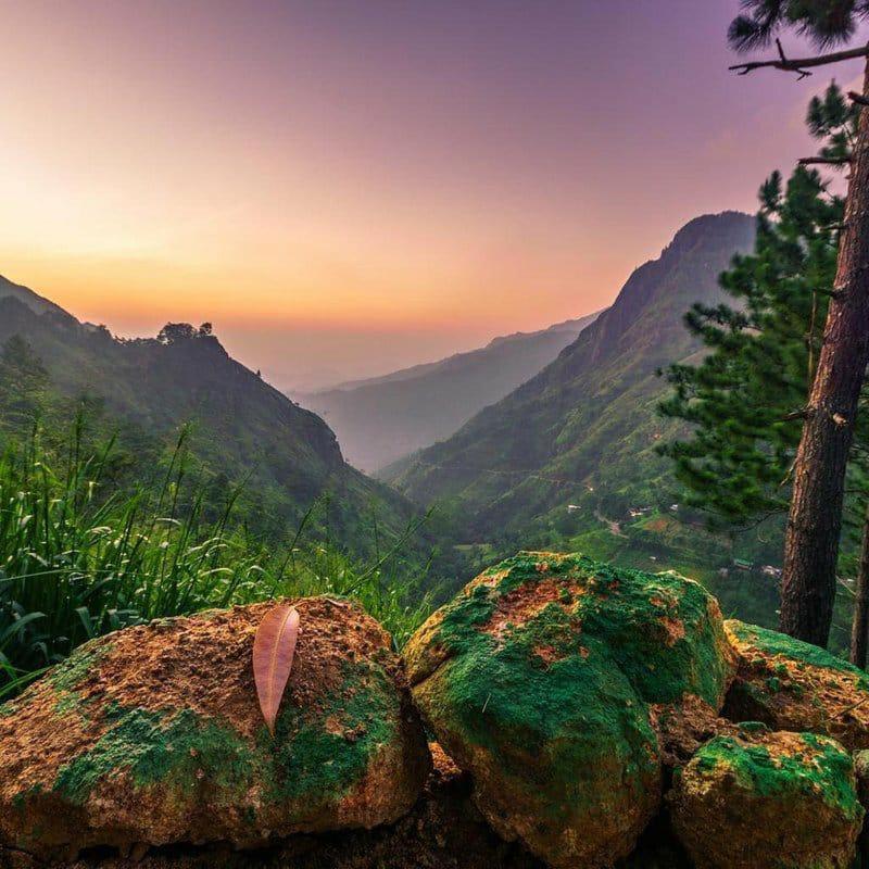 The Ella Valley Ngoại thất bức ảnh