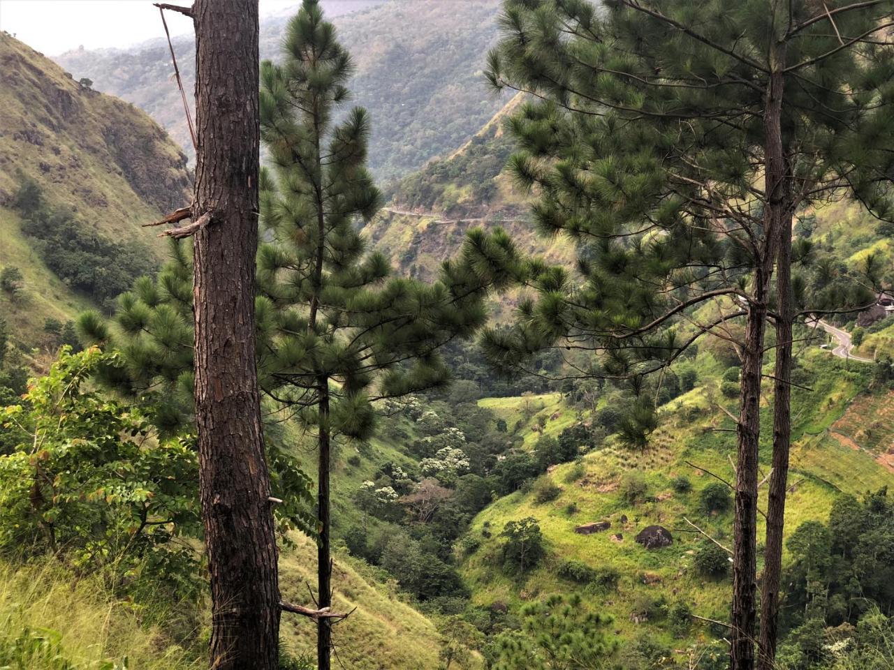 The Ella Valley Ngoại thất bức ảnh